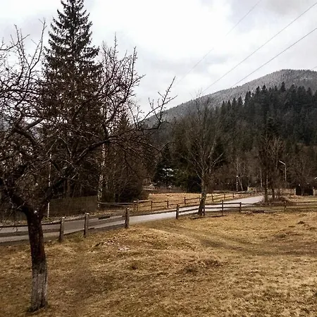 донечки Татаров